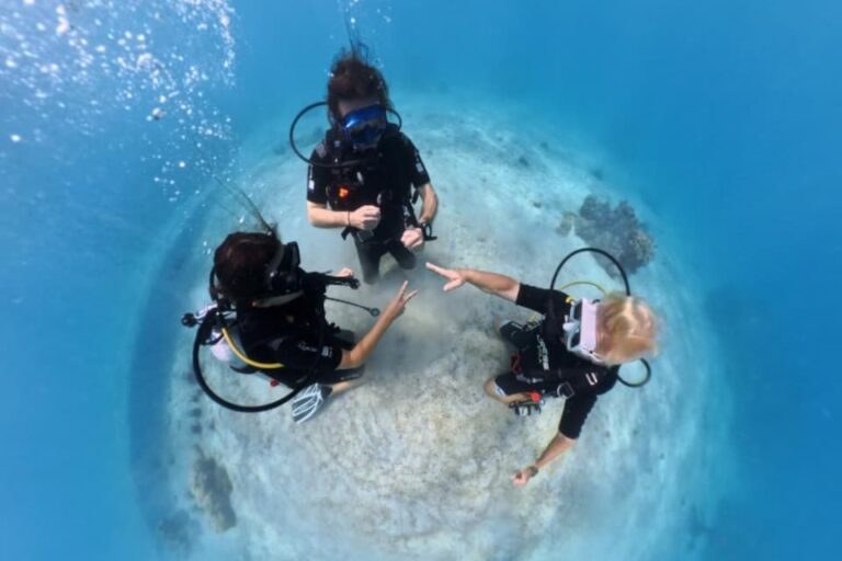 Home bawe island scuba diving