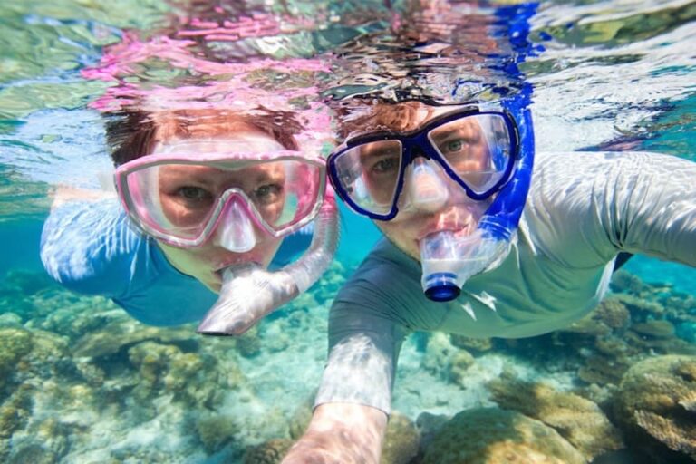 Home bawe island snorkeling trip